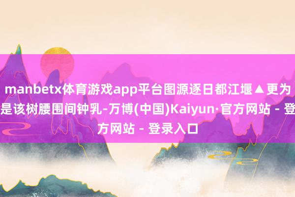 manbetx体育游戏app平台图源逐日都江堰▲更为奇处的是该树腰围间钟乳-万博(中国)Kaiyun·官方网站 - 登录入口