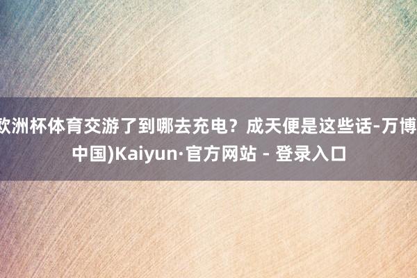 欧洲杯体育交游了到哪去充电？成天便是这些话-万博(中国)Kaiyun·官方网站 - 登录入口